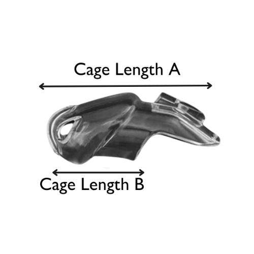 Click 'n' Lock Chastity Device from Online Poppers